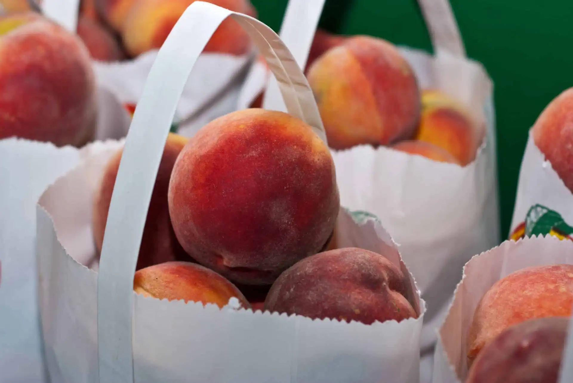 Spiced Peach and Nectarine Cake | Munching Matilda