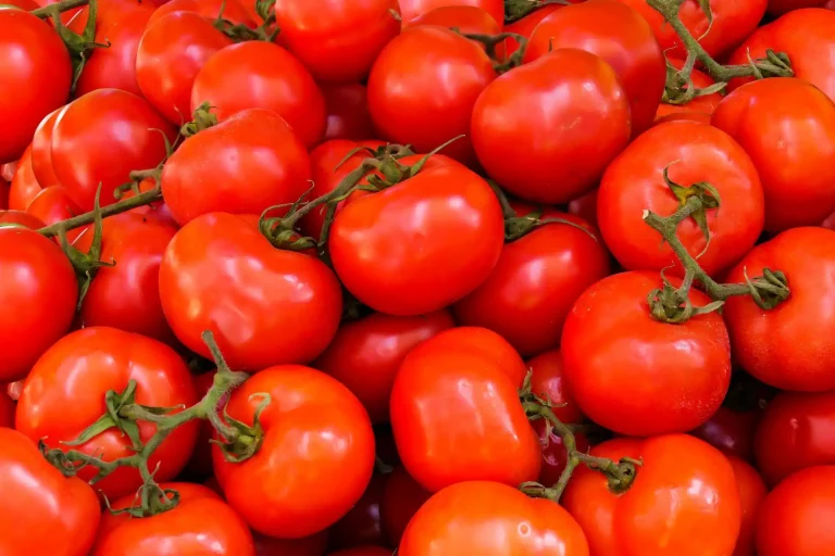 A pile of tomatoes